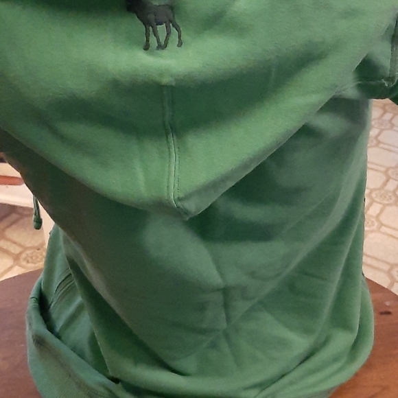 Abercrombie and Fitch Hooded Sweater - Picture 4 of 6